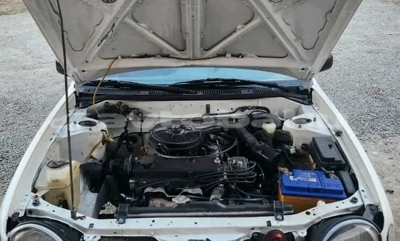 Buy Used Toyota Corolla White Car in Ali Bayramli in Mugan-Salyan Buy Used Toyota Corolla White Car in Ali Bayramli in Mugan-Salyan