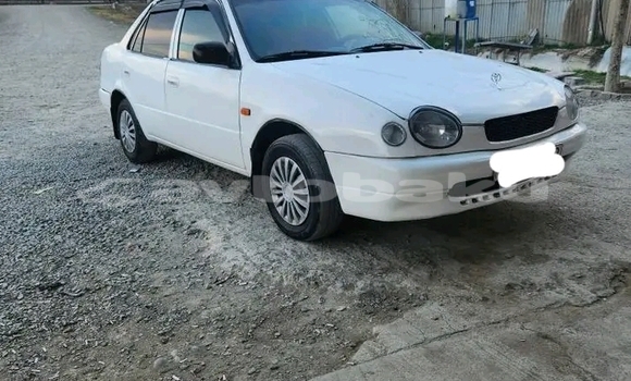 Buy Used Toyota Corolla White Car in Ali Bayramli in Mugan-Salyan Buy Used Toyota Corolla White Car in Ali Bayramli in Mugan-Salyan