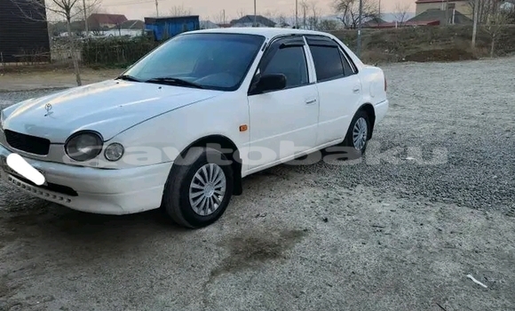Buy Used Toyota Corolla White Car in Ali Bayramli in Mugan-Salyan Buy Used Toyota Corolla White Car in Ali Bayramli in Mugan-Salyan