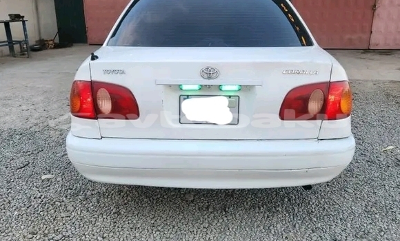 Buy Used Toyota Corolla White Car in Ali Bayramli in Mugan-Salyan Buy Used Toyota Corolla White Car in Ali Bayramli in Mugan-Salyan
