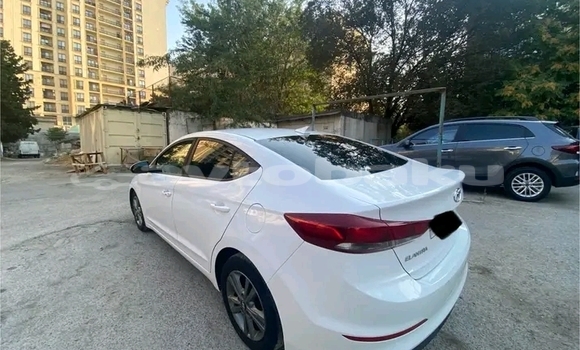 Buy Used Hyundai Elantra White Car in Agcabadi in Mil-Qarabax Buy Used Hyundai Elantra White Car in Agcabadi in Mil-Qarabax