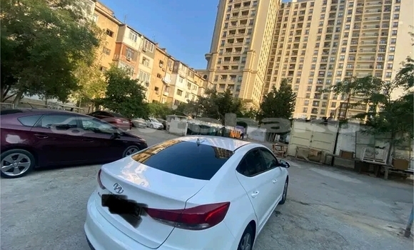 Buy Used Hyundai Elantra White Car in Agcabadi in Mil-Qarabax Buy Used Hyundai Elantra White Car in Agcabadi in Mil-Qarabax