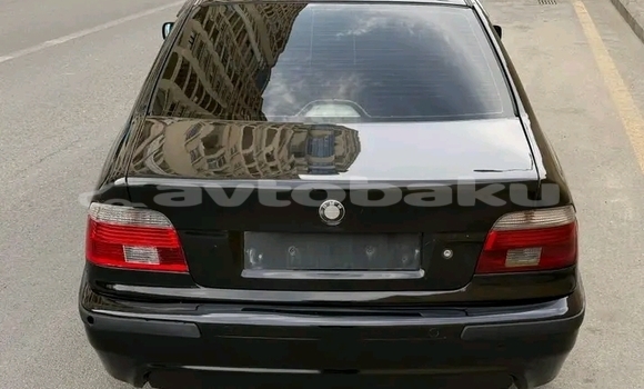 Buy Used BMW 315 Other Car in Alat in Abseron Buy Used BMW 315 Other Car in Alat in Abseron
