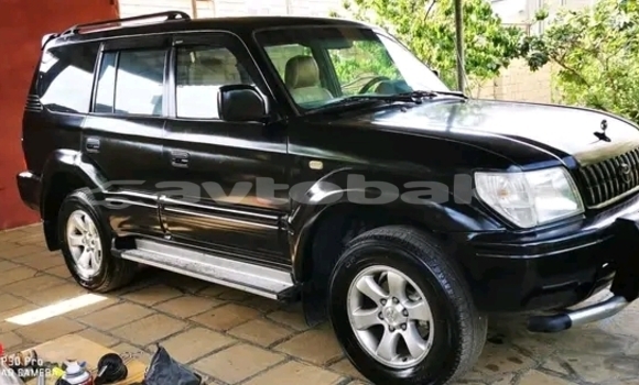 Buy Used Toyota Prado Black Car in Alat in Abseron Buy Used Toyota Prado Black Car in Alat in Abseron