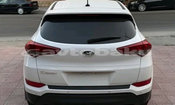 Buy Used Hyundai Tucson White Car in Ali Bayramli in Mugan-Salyan Buy Used Hyundai Tucson White Car in Ali Bayramli in Mugan-Salyan