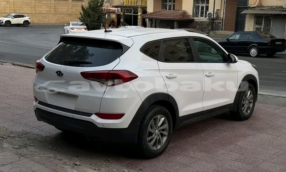 Buy Used Hyundai Tucson White Car in Ali Bayramli in Mugan-Salyan Buy Used Hyundai Tucson White Car in Ali Bayramli in Mugan-Salyan