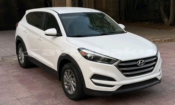 Buy Used Hyundai Tucson White Car in Ali Bayramli in Mugan-Salyan Buy Used Hyundai Tucson White Car in Ali Bayramli in Mugan-Salyan
