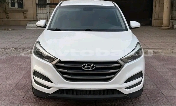 Buy Used Hyundai Tucson White Car in Ali Bayramli in Mugan-Salyan Buy Used Hyundai Tucson White Car in Ali Bayramli in Mugan-Salyan