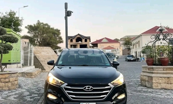 Buy Used Hyundai Tucson Black Car in Balakan in Saki Buy Used Hyundai Tucson Black Car in Balakan in Saki