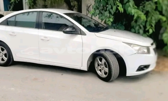 Buy Used Chevrolet Cruze White Car in Ali Bayramli in Mugan-Salyan