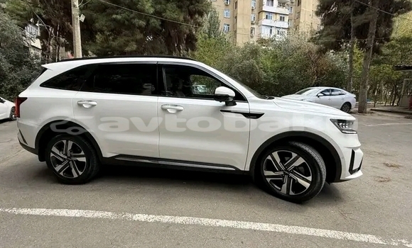 Buy Used Kia Sorento White Car in Alat in Abseron Buy Used Kia Sorento White Car in Alat in Abseron