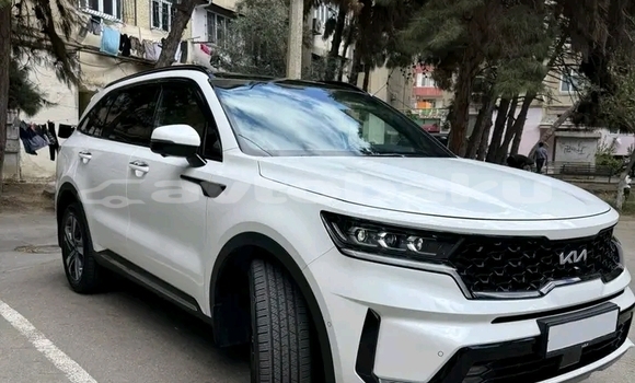 Buy Used Kia Sorento White Car in Alat in Abseron Buy Used Kia Sorento White Car in Alat in Abseron