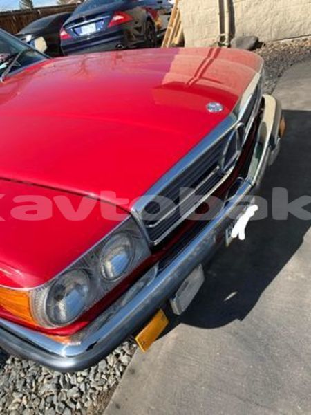 Big with watermark 148455375 707342209948830 2783218796932714908 n