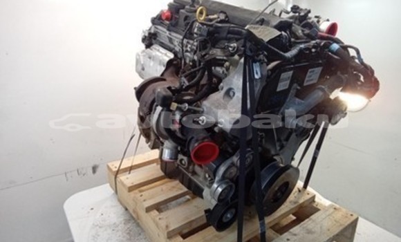 Buy Ford Ranger 3.2L Engine in Baki in Abseron Buy Ford Ranger 3.2L Engine in Baki in Abseron