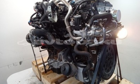 Buy Ford Ranger 3.2L Engine in Baki in Abseron Buy Ford Ranger 3.2L Engine in Baki in Abseron