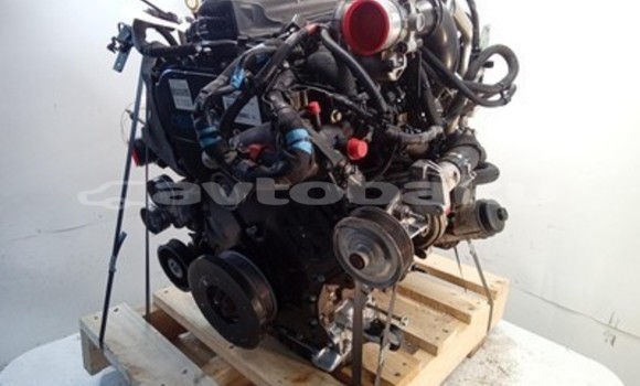 Buy Ford Ranger 3.2L Engine in Baki in Abseron Buy Ford Ranger 3.2L Engine in Baki in Abseron