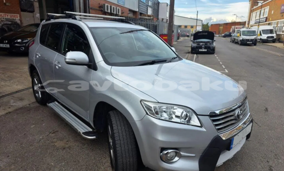 Buy Used Toyota RAV4 White Car in Agstafa in Qazax