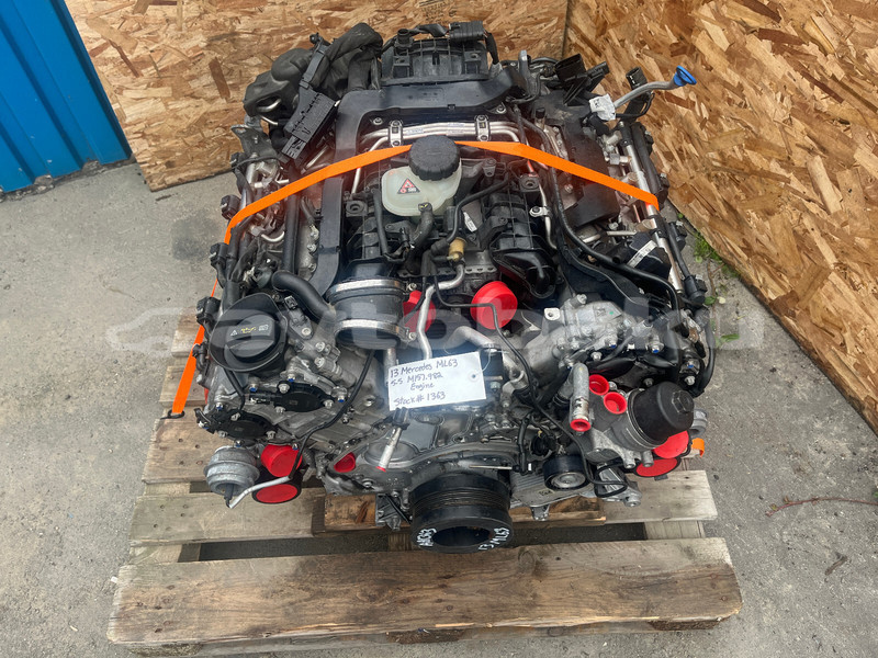 Big with watermark a