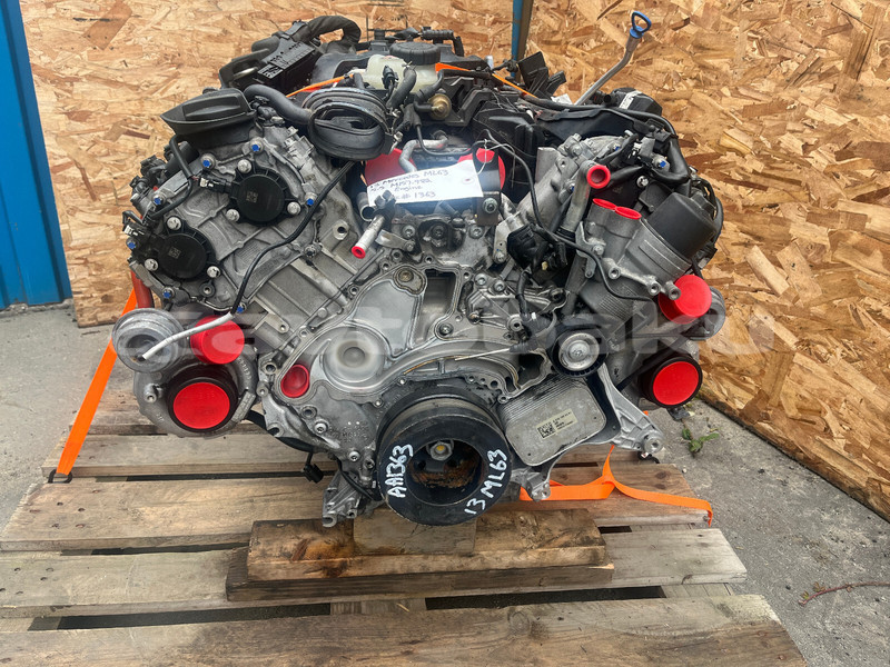 Big with watermark b