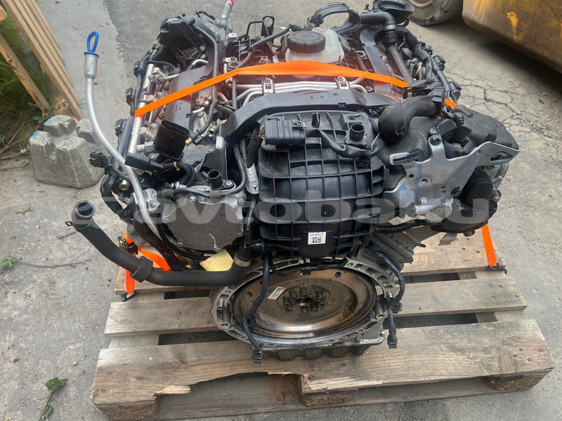 Big with watermark e