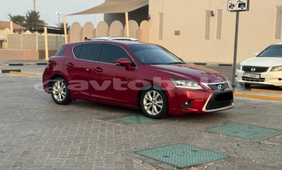 Buy Used Lexus CT Red Car in Kurdamir in Sirvan
