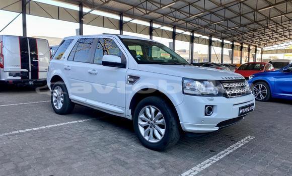 Buy Used Land Rover Freelander White Car in Baki in Abseron