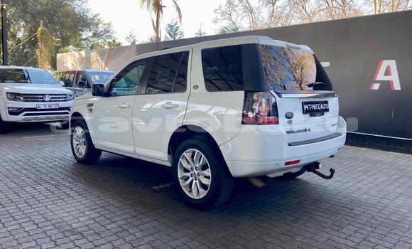 Buy Used Land Rover Freelander White Car in Baki in Abseron Buy Used Land Rover Freelander White Car in Baki in Abseron