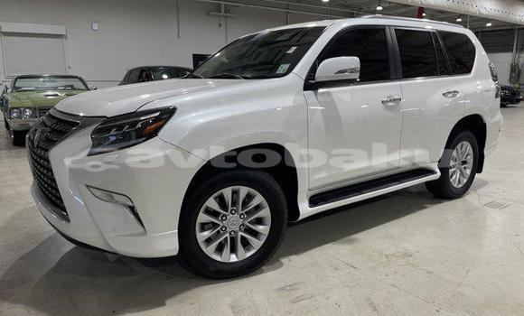 Buy Used Lexus GX White Car in Goytapa in Lankaran