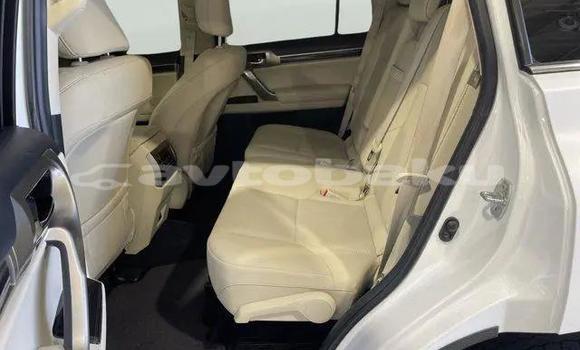 Buy Used Lexus GX White Car in Goytapa in Lankaran Buy Used Lexus GX White Car in Goytapa in Lankaran