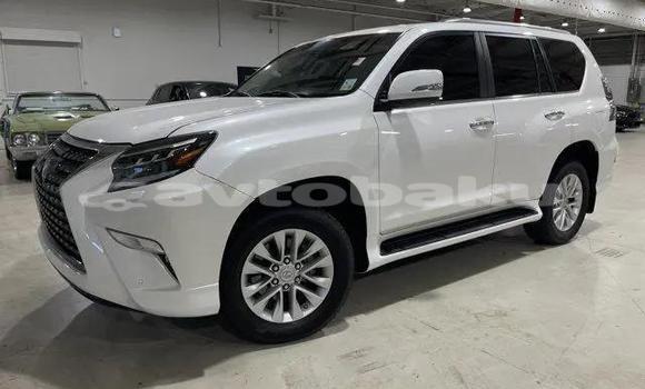 Buy Used Lexus GX White Car in Mingacevir in Mil-Qarabax Buy Used Lexus GX White Car in Mingacevir in Mil-Qarabax