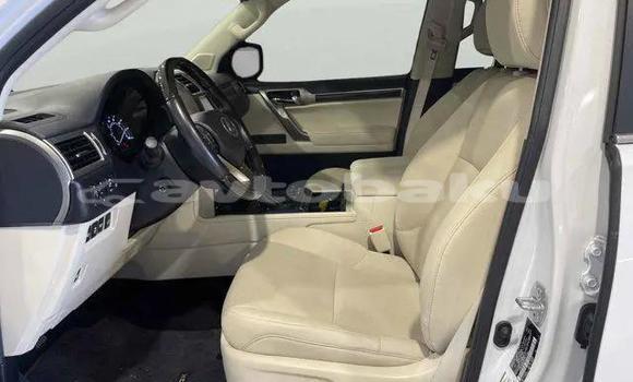 Buy Used Lexus GX White Car in Mingacevir in Mil-Qarabax Buy Used Lexus GX White Car in Mingacevir in Mil-Qarabax