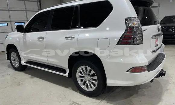 Buy Used Lexus GX White Car in Mingacevir in Mil-Qarabax Buy Used Lexus GX White Car in Mingacevir in Mil-Qarabax