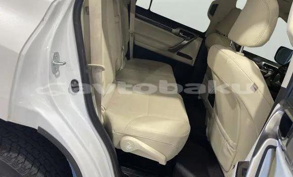 Buy Used Lexus GX White Car in Mingacevir in Mil-Qarabax Buy Used Lexus GX White Car in Mingacevir in Mil-Qarabax
