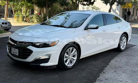 Buy Used Chevrolet Malibu White Car in Baki in Abseron