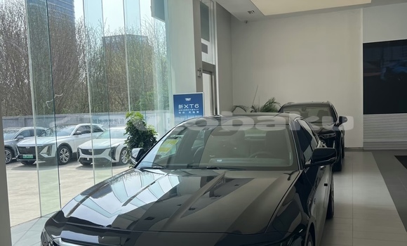Buy New Cadillac CT6 Black Car in Barda in Mil-Qarabax Buy New Cadillac CT6 Black Car in Barda in Mil-Qarabax