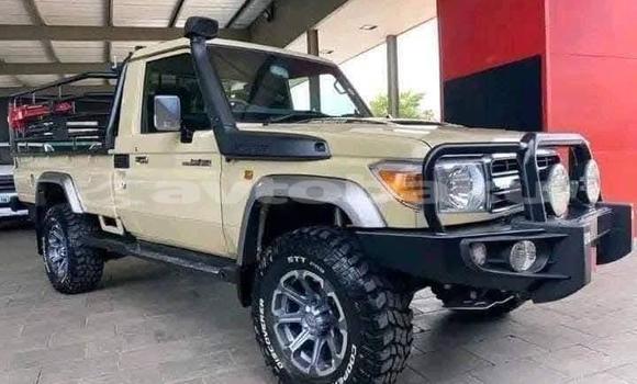 Buy Used Toyota Land Cruiser Beige Car in Baki in Abseron