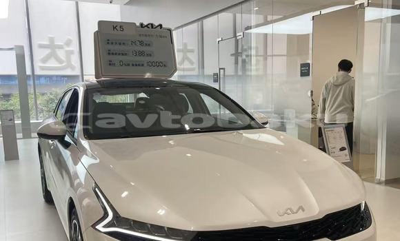 Buy New Kia K5 White Car in Baki in Abseron Buy New Kia K5 White Car in Baki in Abseron
