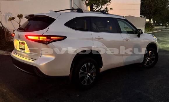 Buy Used Toyota Highlander White Car in Qazimammad in Mugan-Salyan Buy Used Toyota Highlander White Car in Qazimammad in Mugan-Salyan