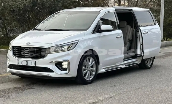 Buy Used Kia Carnival White Car in Bilqax in Abseron Buy Used Kia Carnival White Car in Bilqax in Abseron