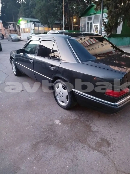 Big with watermark acura rsx mugan salyan ali bayramli 4910