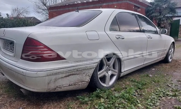 Buy Used BMW 2er Active Tourer White Car in Alat in Abseron