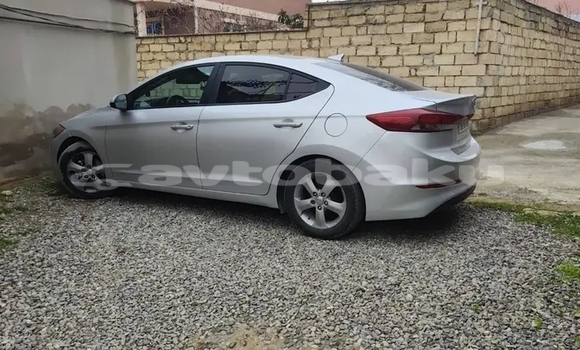 Buy Used Hyundai Elantra Other Car in Ali Bayramli in Mugan-Salyan Buy Used Hyundai Elantra Other Car in Ali Bayramli in Mugan-Salyan