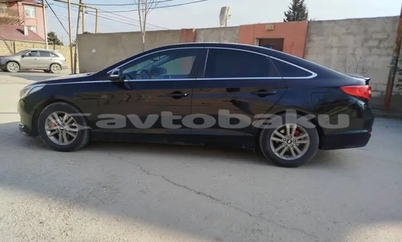 Buy Used Hyundai Sonata Black Car in Ali Bayramli in Mugan-Salyan