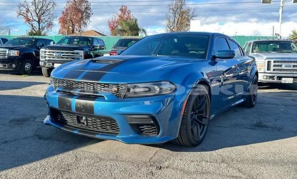 Buy Used Dodge Charger Blue Car in Baki in Abseron