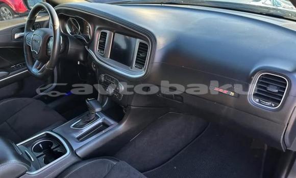 Buy Used Dodge Charger Blue Car in Baki in Abseron Buy Used Dodge Charger Blue Car in Baki in Abseron