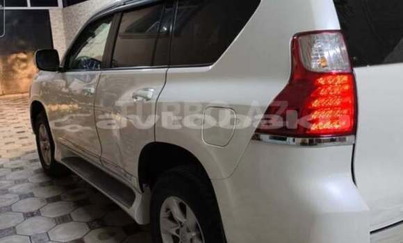 Buy Used Toyota Land Cruiser Prado White Car in Baki in Abseron Buy Used Toyota Land Cruiser Prado White Car in Baki in Abseron