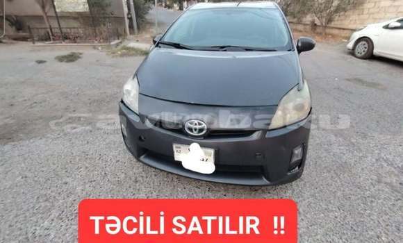 Buy Used Toyota Prius Other Car in Baki in Abseron Buy Used Toyota Prius Other Car in Baki in Abseron
