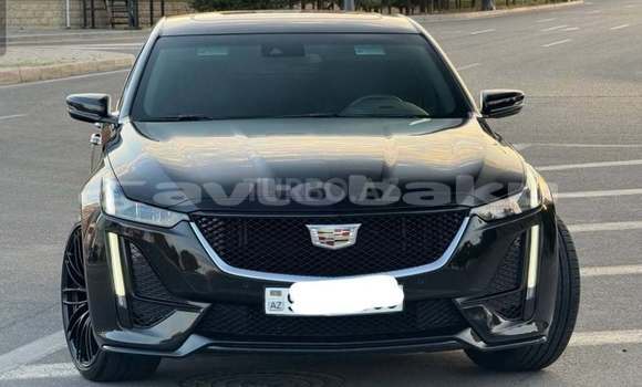 Buy Used Cadillac CTS Black Car in Baki in Abseron Buy Used Cadillac CTS Black Car in Baki in Abseron