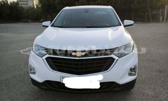 Buy Used Chevrolet Equinox White Car in Baki in Abseron