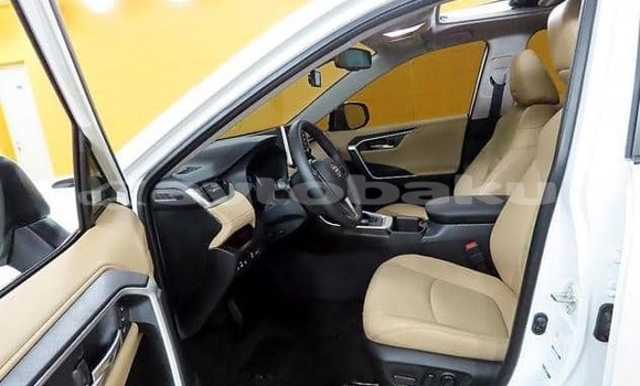 Buy Used Toyota RAV4 White Car in Baki in Abseron Buy Used Toyota RAV4 White Car in Baki in Abseron